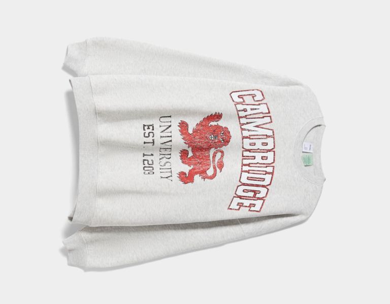 Bershka Cambridge University Print Sweatshirts Dames Grijs | U3YYjX5aBkt