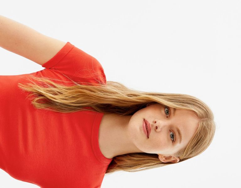 Bershka Fitted Kort Sleeve T-shirts Dames Rood | I4I8JfRaBND