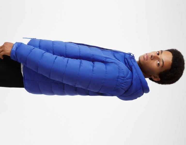 Bershka Lichtgewicht Puffer Jassen Heren Blauw | 3PFnxDe1YPR